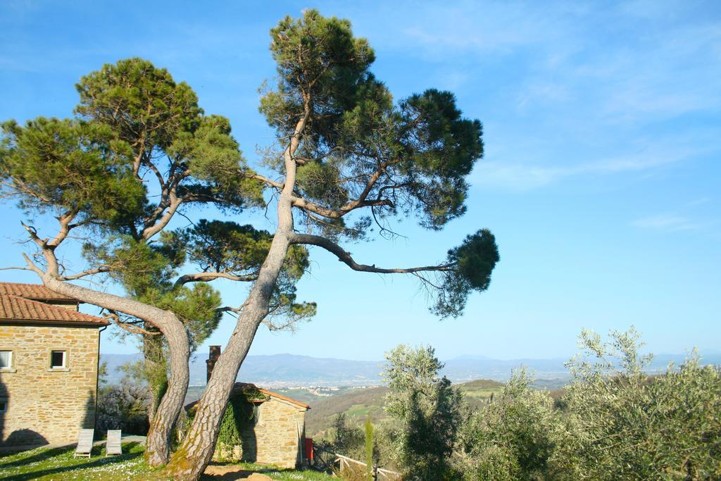 Relais Il Pozzeto Anghiari Exterior foto